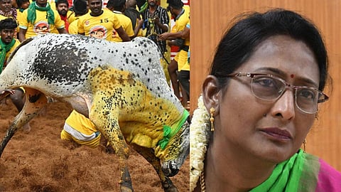 ஜல்லிக்கட்டு