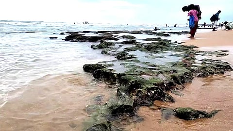 what reason of sudden changes in tiruchendur sea