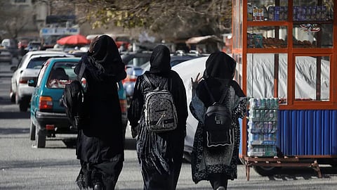 taliban minister urges afghan government to lift ban on womens education