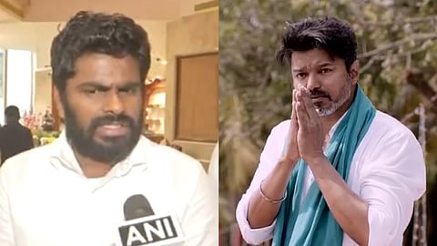 அண்ணாமலை, விஜய்