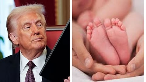 ட்ரம்ப்