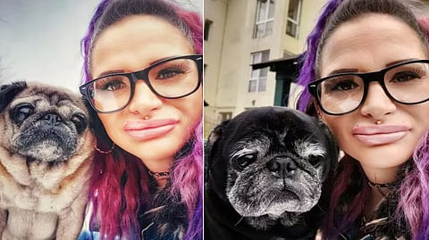 romanian womens body found partially eaten by her pet dogs