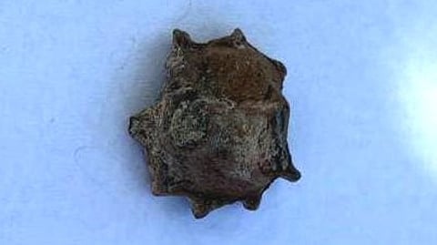 சுடுமண்ணால் ஆன காதணி