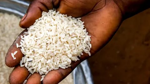 தூத்துக்குடி