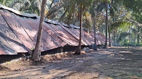 கோழிப் பண்ணையில் தீடீரெ தீ விபத்து