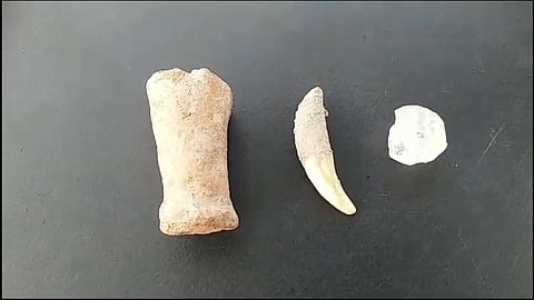 வெம்பக்கோட்டை 3-ம் கட்ட அகழாய்வில் கண்டறியப்பட்ட புதிய பொருட்கள்