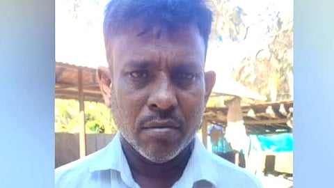 வீட்டில் கஞ்சா செடி வளர்த்த நபர் கைது