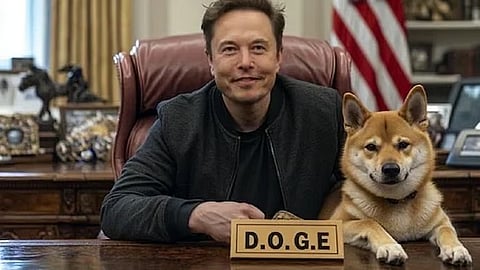 white house explanin on elon musk doge issue