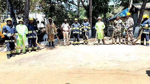 10 அடி நீளம் கொண்ட 6 மலைப்பாம்புகள் பத்திரமாக மீட்பு