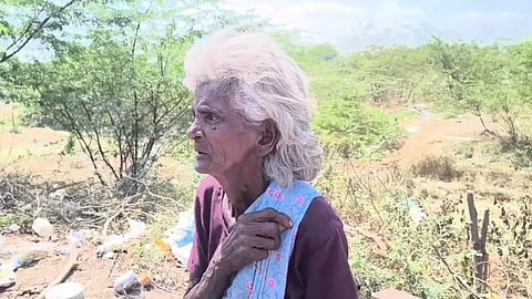 16 ஆடுகள் பலி – கதறியழுத மூதாட்டி