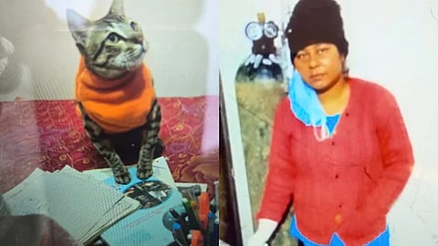 உத்தரப்பிரதேசம்