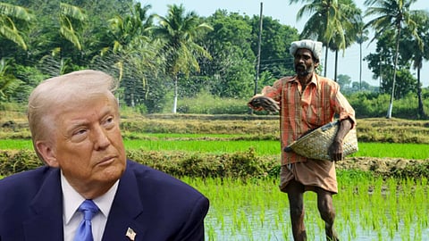 ட்ரம்ப்