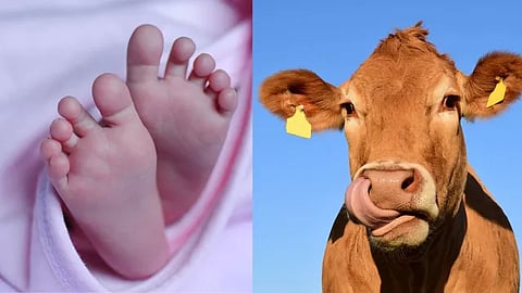 தெலுங்கு தேசம் எம்பி காளிசெட்டி அப்பல நாயுடு