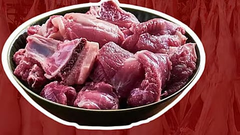 Malhar Certification