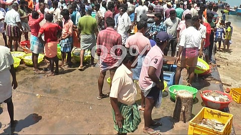 மீனவர்களின் வலையில் சிக்கிய கூறல் மீன்கள்