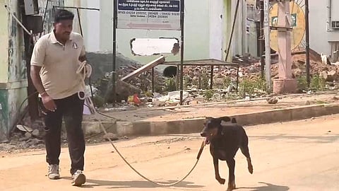 மோப்பநாய் காவேரி