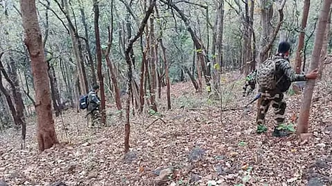 சத்தீஸ்கர்