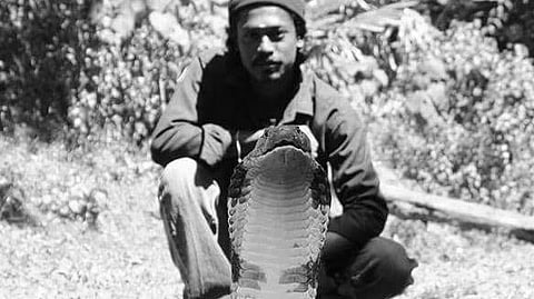 பாம்பு பிடி வீரர்