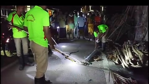 தீயணைப்பு வீரர்கள் ராஜநாகத்தை பிடித்தனர்