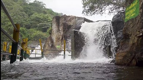 ஆர்ப்பரித்துக் கொட்டும் மணிமுத்தாறு அருவி