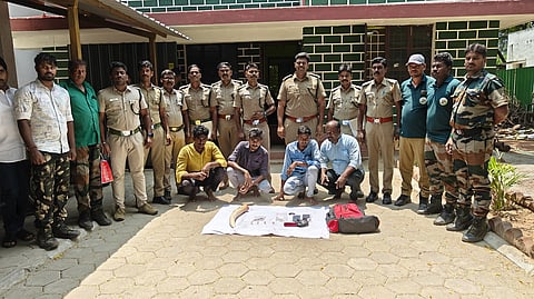 தந்தம் கடத்தியதாக நான்கு பேர் கைது