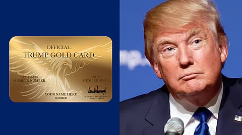 us gold card visa 1000 cards sold in oneday