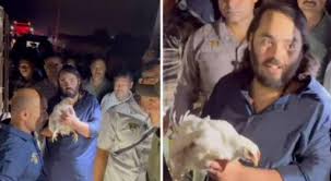 250 கோழிகளை மீட்ட ஆனந்த் அம்பானி