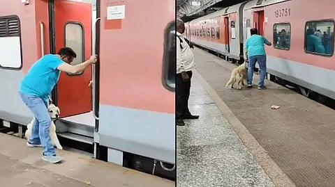 chilling video shows pet dog dragged by train as reckless owner tries to board
