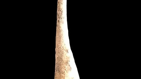 "அஞ்சன கோல்"