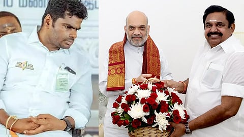 annamalai says on bjp state president