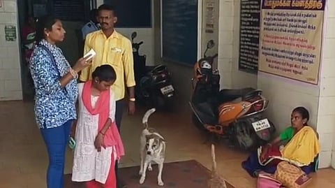 அரசு மருத்துவமனையில் வலம் வரும் தெரு நாய்கள்