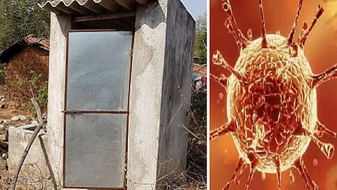 what reason of decrease in Covid deaths in rural areas