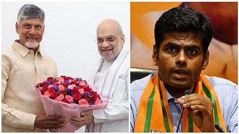 tn bjp leader annamalai will elect from andhra pradesh as rajya sabha mp