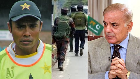 former cricketer danish kaneria slams pak pm shehbaz sharifs