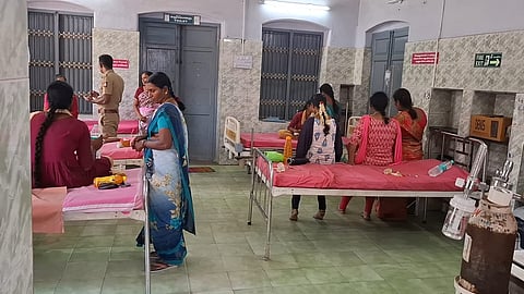 கதண்டு கடித்து மாணவிகள் காயம்