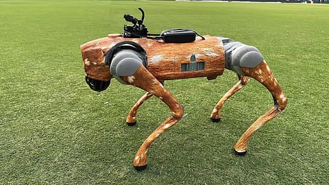 delhi high court issues notice to bcci over naming ai robot dog champak