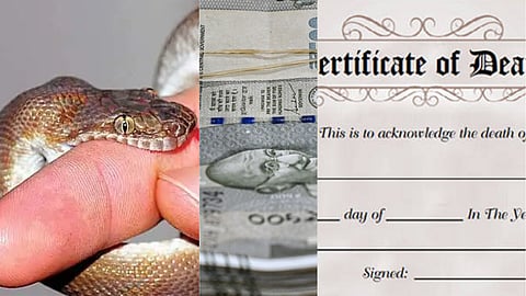 shown dead 30 times to siphon off 11 crore in snake bite scam in madhyapradesh