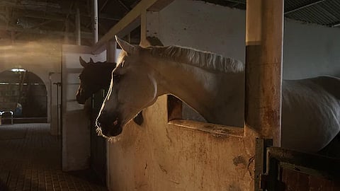 நாக்பூர்