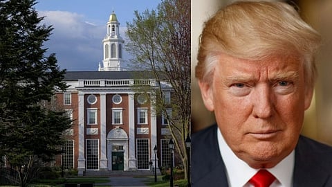 usa president donald trump attacks harvard university again