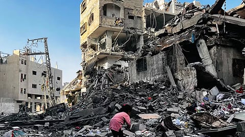 9 childrens from the same family killed in israeli attack tragedy in gaza