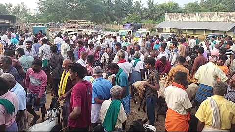 ரூ.5 கோடிக்கு மேல் விற்பனையான ஆடுகள்