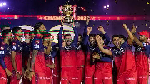 karnataka high court grants interim bail to rcb official
