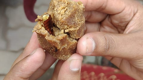 கொழுக்கட்டையில் கரப்பான் பூச்சி