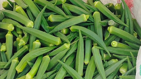 வெண்டைக்காய்