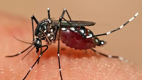 AI தொழில்நுட்பம்!