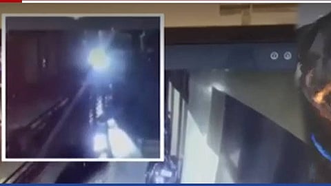 ராட் வீலர்கள்