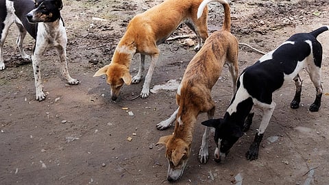 உச்சநீதிமன்றம் கேள்வி