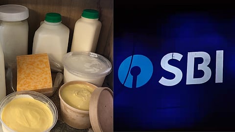 SBI warns of annual loss to indian dairy farmers if US imports allowed