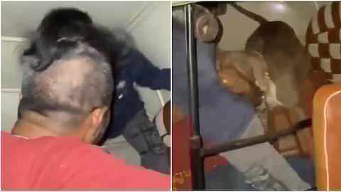 மகாராஷ்டிரா மாநிலம்