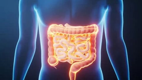 6th sense - gut problem